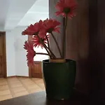 Hostel Rural L'almada De Yebra *